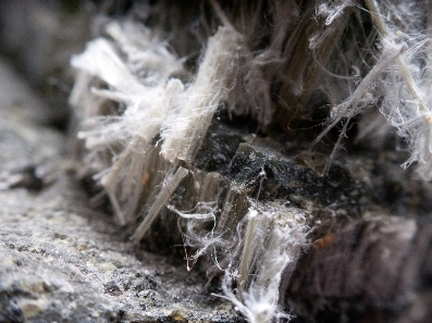 asbestos